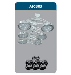 aic803-9423.png