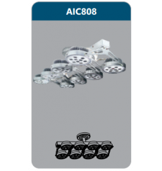 aic808-3307.png