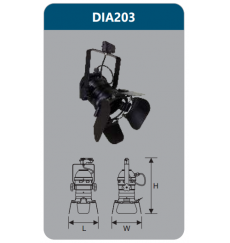 dia203-9691.png